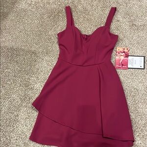 Elegant Burgundy / Magenta Sleeveless Dress